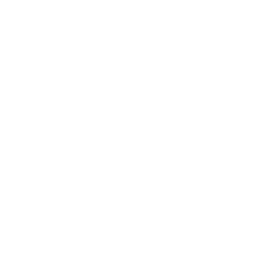 flakes