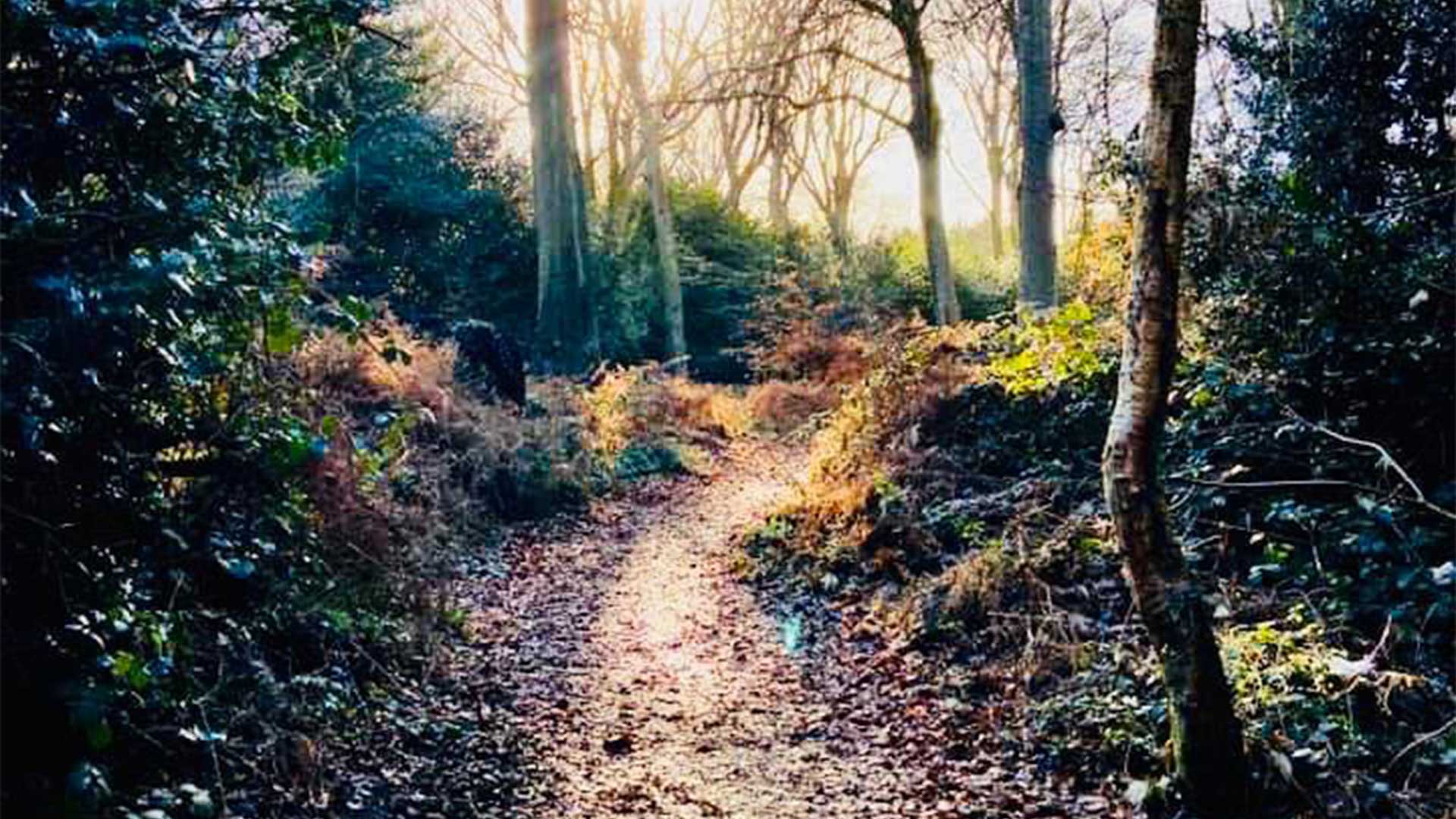 Path