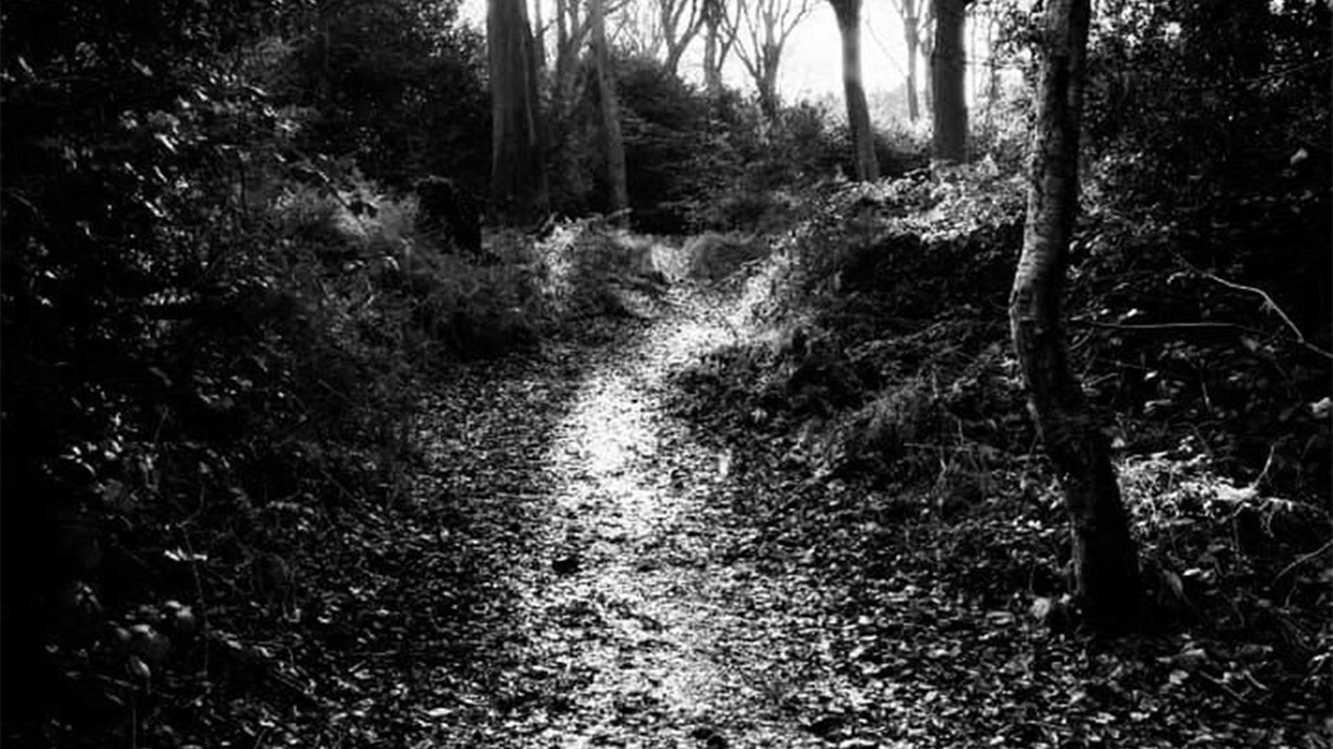 Path